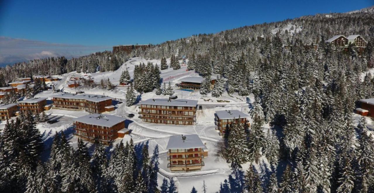 Le Cocon 4 Saisons A Chamrousse 1700 - Droseras A14 - Les Villages Du Bachat Eksteriør billede